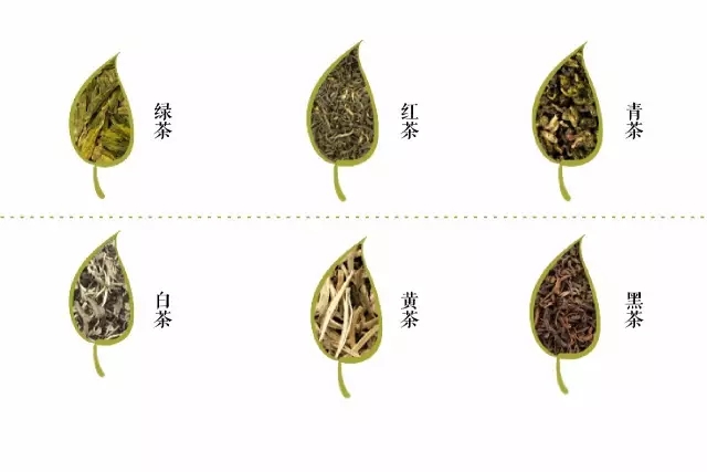 爱游戏一篇搞懂六大茶类！