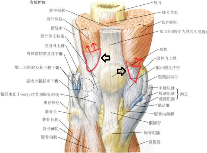 腿软酸痛怎么缓解 jxlpxregukw0c2xetikehoe1x8dng64y.jpg!content