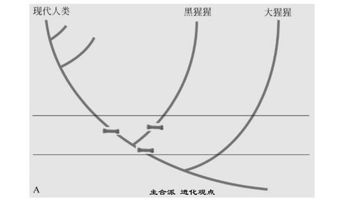 世界人口历史年鉴_世界 人口爆炸 时代是指