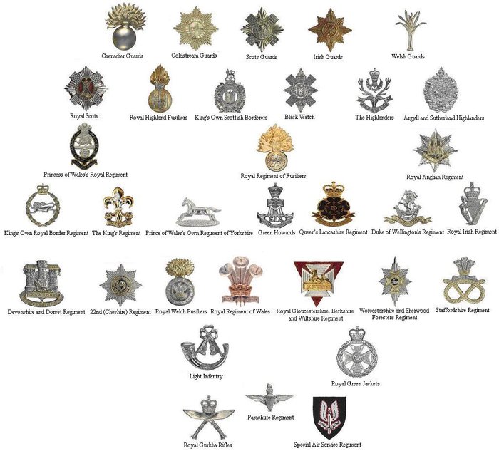 英国陆军军衔标志图片
