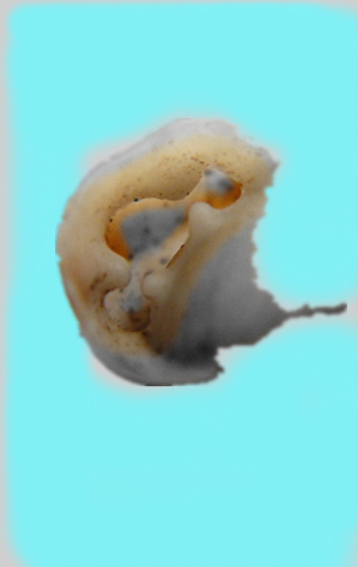 asnqlkpsh7k103yqs2kv6ig13lnllr1f.jpg!content