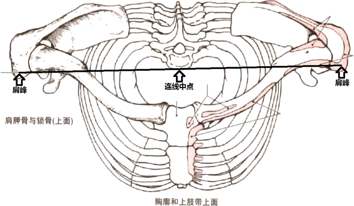什么程度算翼状肩胛 nhtbwuhdllrwc926c7yagi66nxc1h0x8.jpg!content