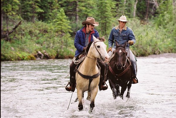 《断臂山》说:分得清攻受不是了解同性恋的唯一办法