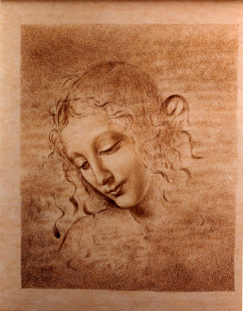 达文西圣母(达芬奇圣母)